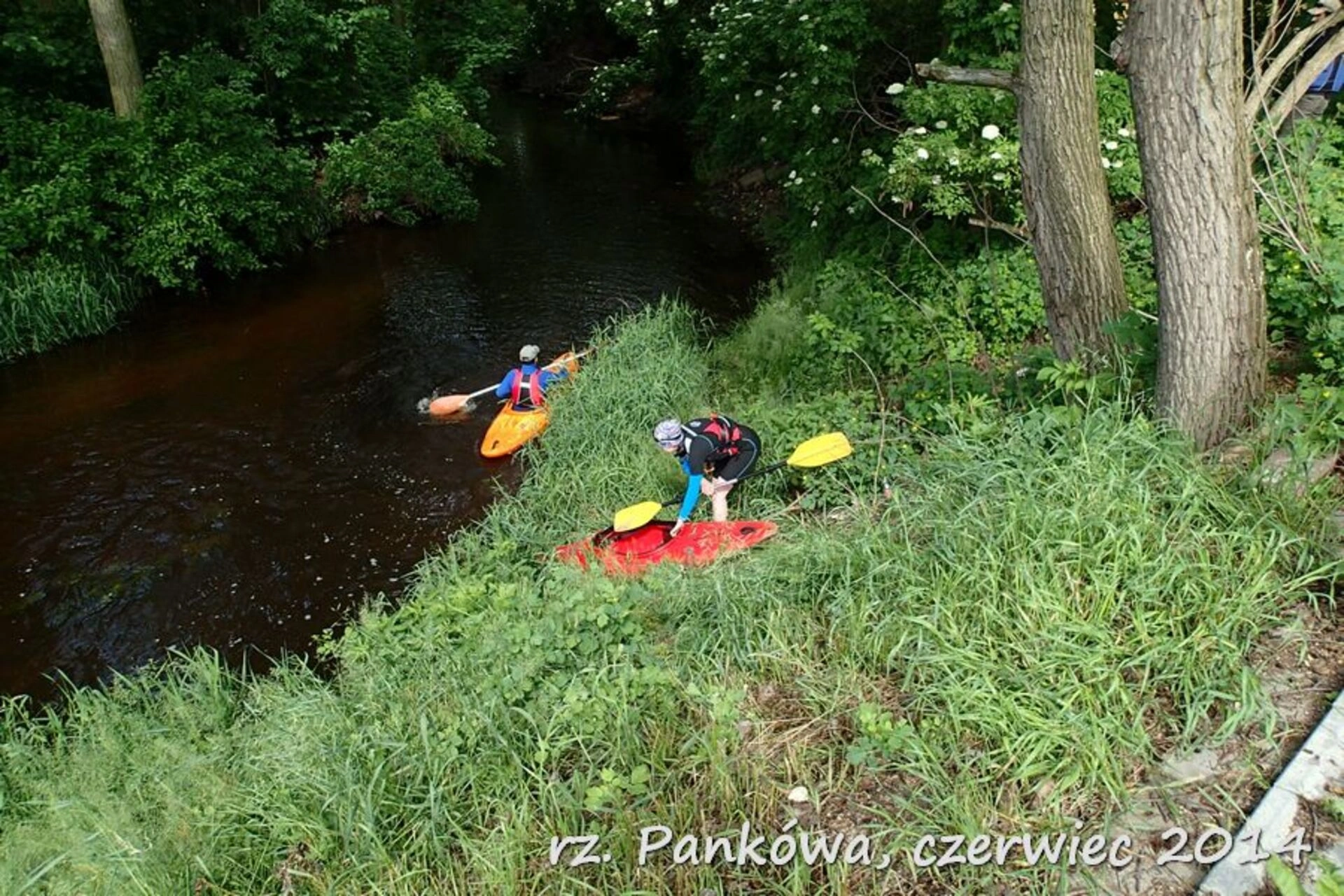 Kajaki Pankówka